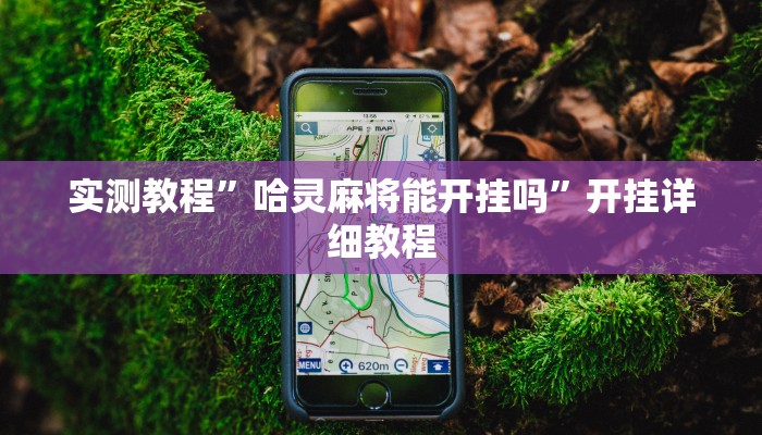 实测教程”哈灵麻将能开挂吗”开挂详细教程
