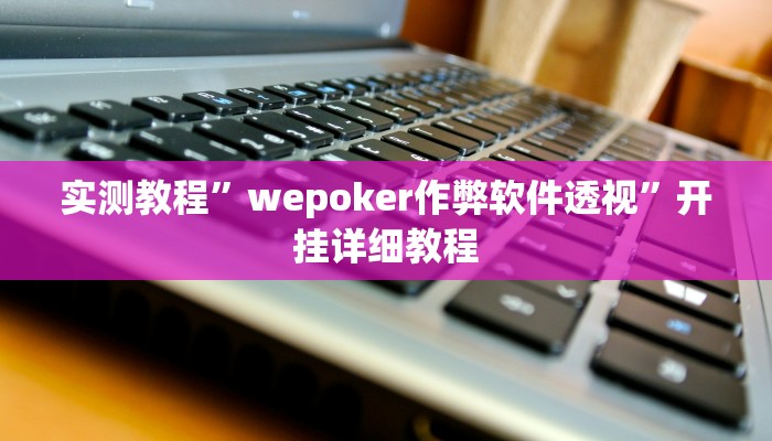 实测教程”wepoker作弊软件透视”开挂详细教程