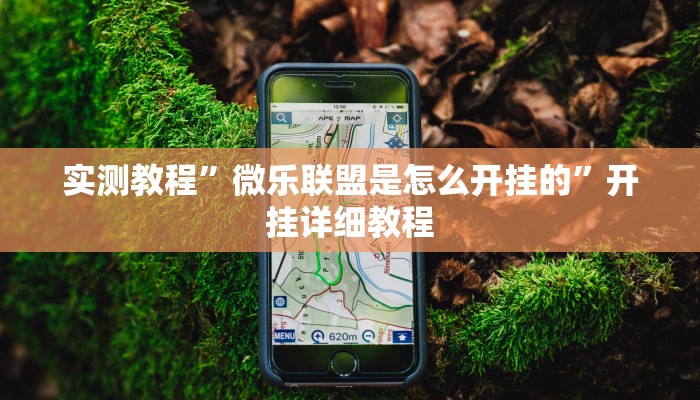 实测教程”微乐联盟是怎么开挂的”开挂详细教程